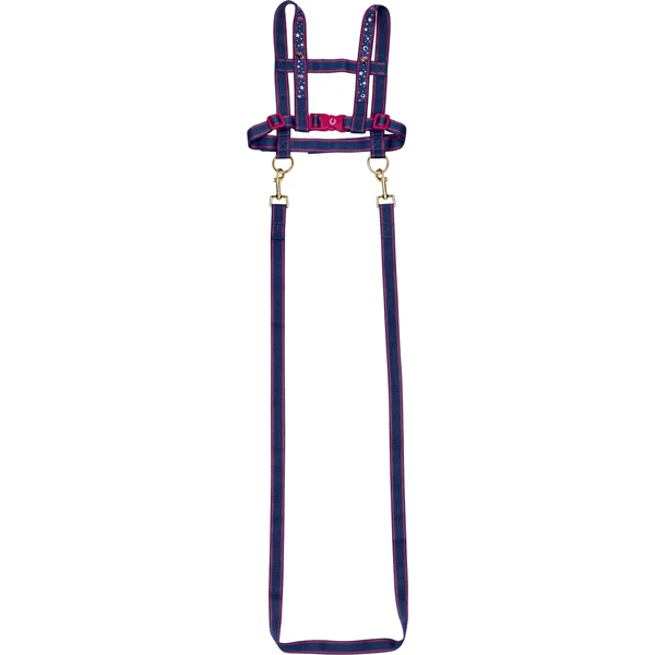 SPIEGELBURG COPPENRATH Pferdeleine Pferdefreunde 3 SPIEGELBURG COPPENRATH Pferdeleine Pferdefreunde